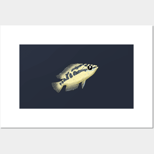 Salvin's Cichlid Wall Art by Moopichino